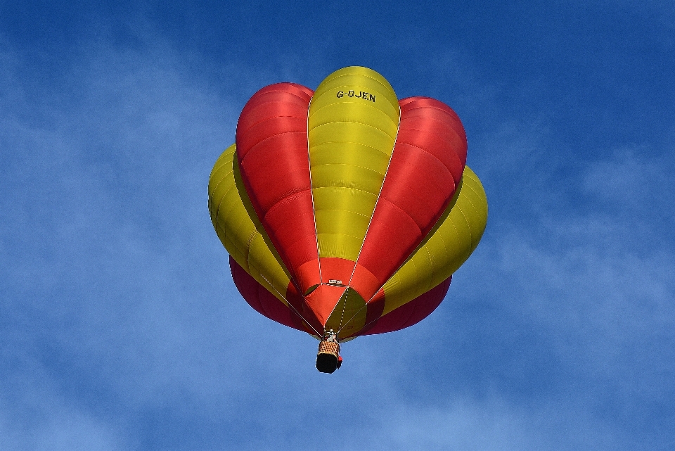 Ala cielo aria palloncino