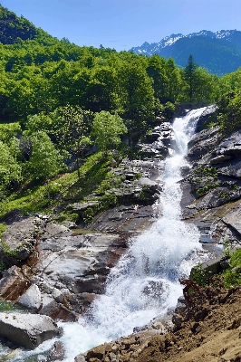 Landscape water nature forest Photo