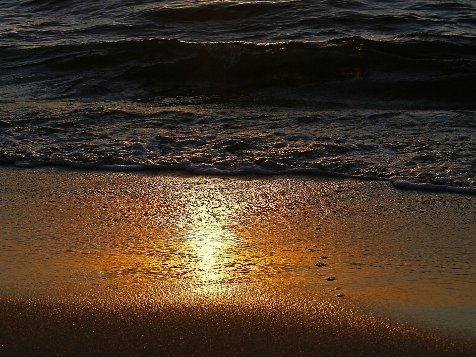 Praia mar costa água