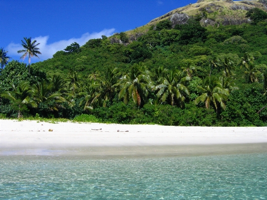 Beach sea coast water Photo