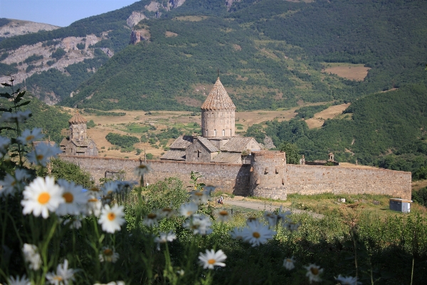 Landscape mountain hill flower Photo