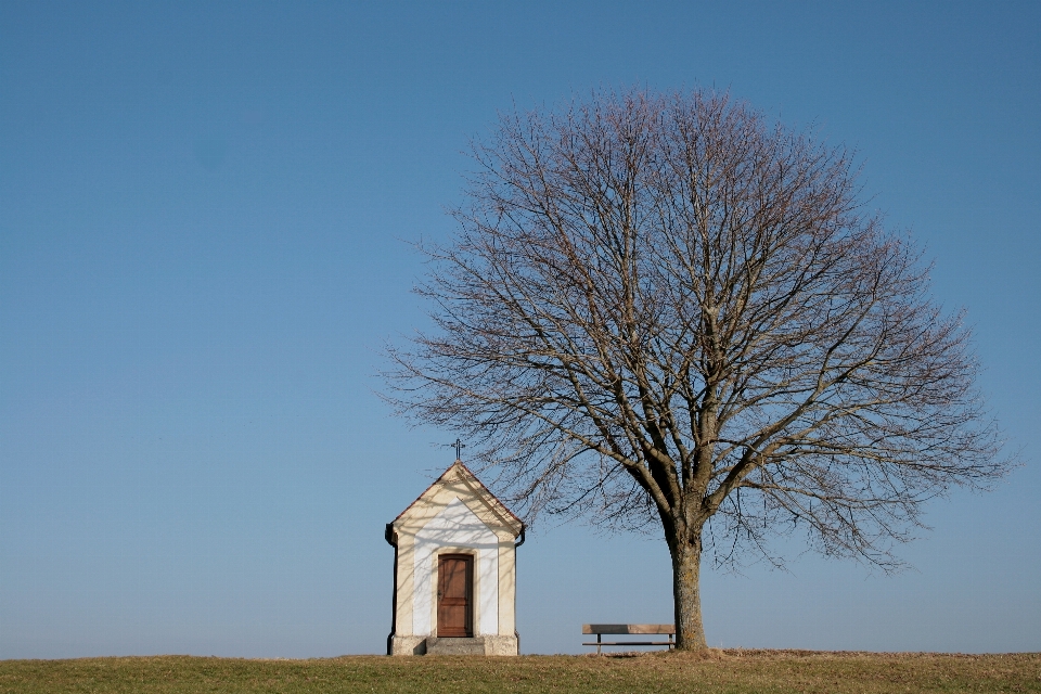 Paysage arbre herbe usine