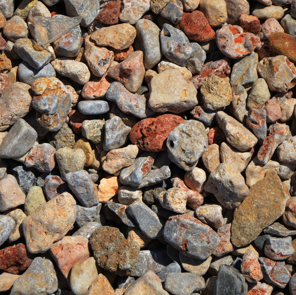 Plage nature rock bois