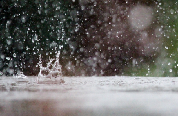 Table water nature snow Photo