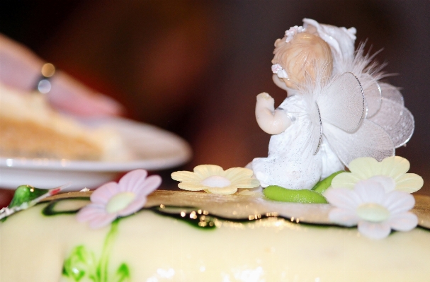 Sweet flower petal celebration Photo