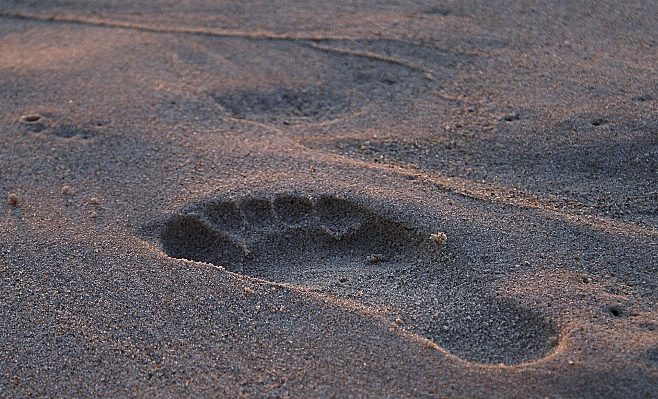 Beach sea nature sand Photo