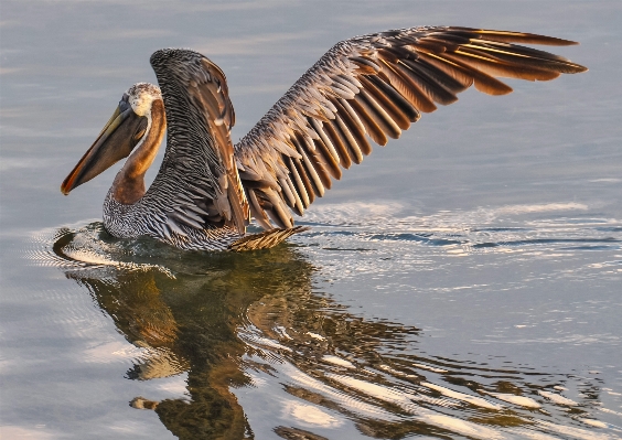 Coast water nature outdoor Photo