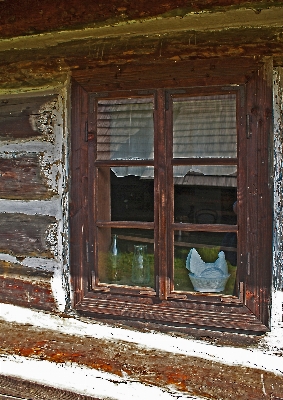 Architecture wood house window Photo