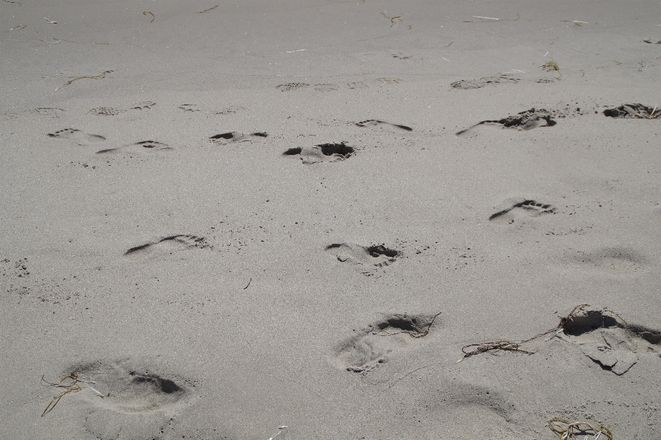 Playa mar naturaleza arena