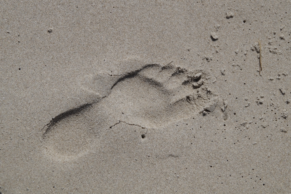 Spiaggia sabbia rock struttura