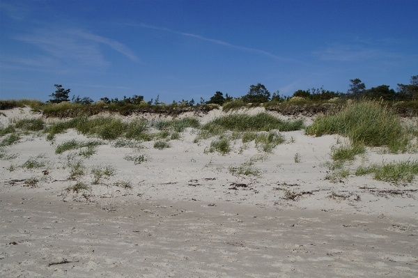 Beach landscape sea coast Photo