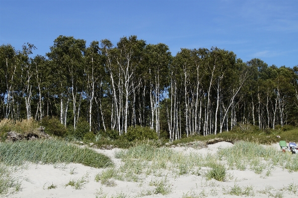 Beach landscape sea coast Photo