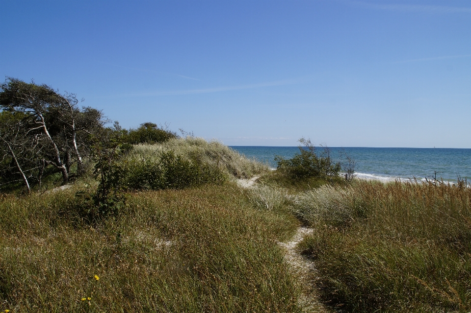 Strand landschaft meer küste