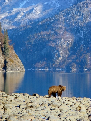 Landscape sea water nature Photo