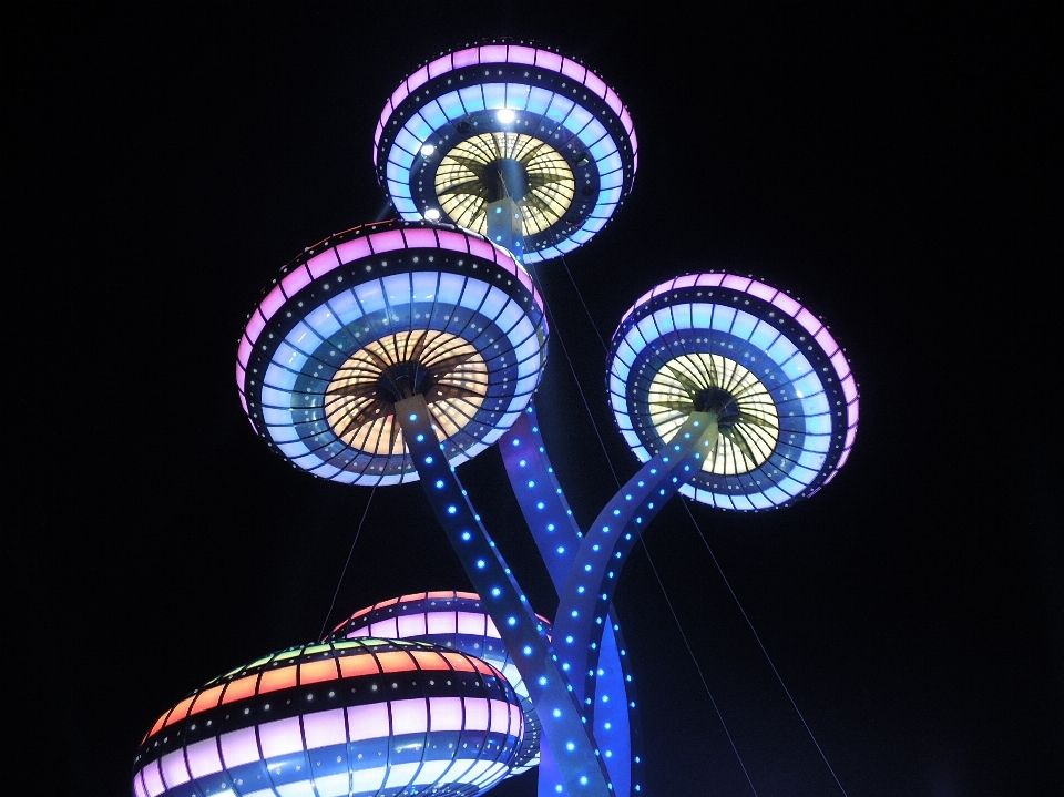 Luz noite roda gigante
 parque de diversões
