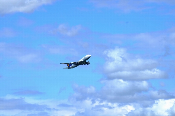 Wing sky fly airport Photo