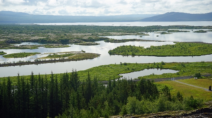 Landscape water marsh wilderness Photo