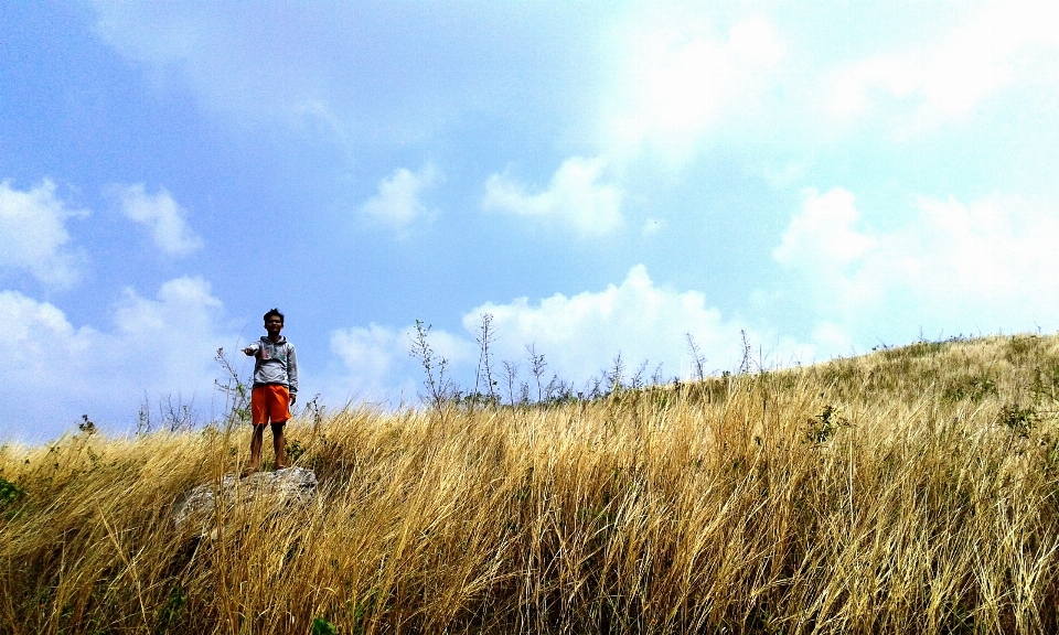 Nature grass horizon mountain