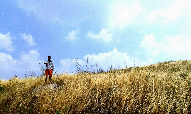 Nature grass horizon mountain Photo