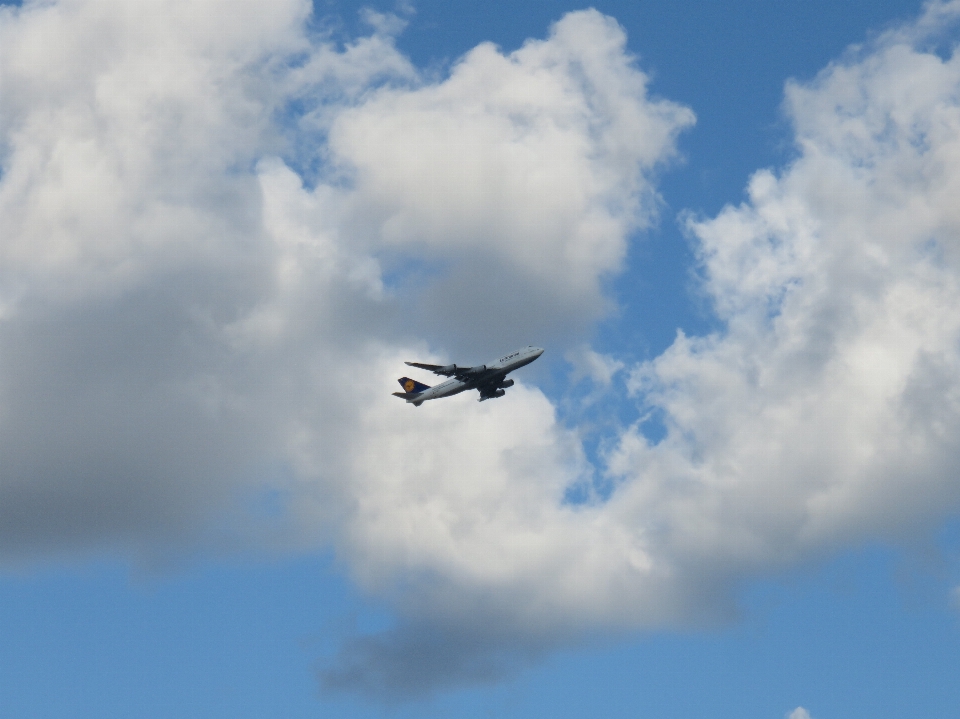 羽 クラウド 空 飛行