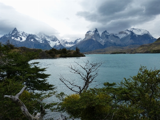 Landscape nature forest wilderness Photo