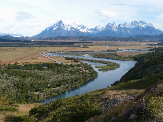 Landscape nature forest marsh Photo