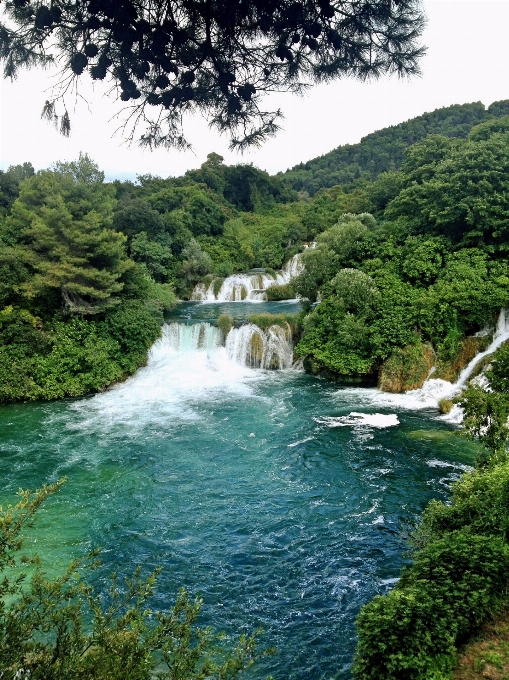 Nature forest waterfall river