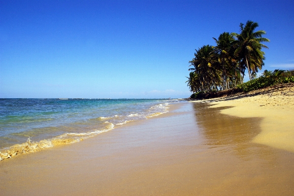 Beach sea coast nature Photo