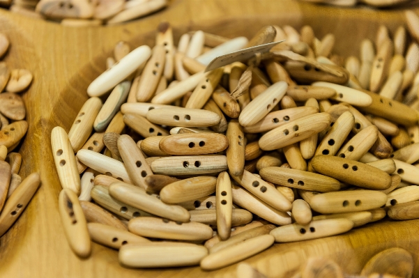 木 食べ物 生産 作物 写真