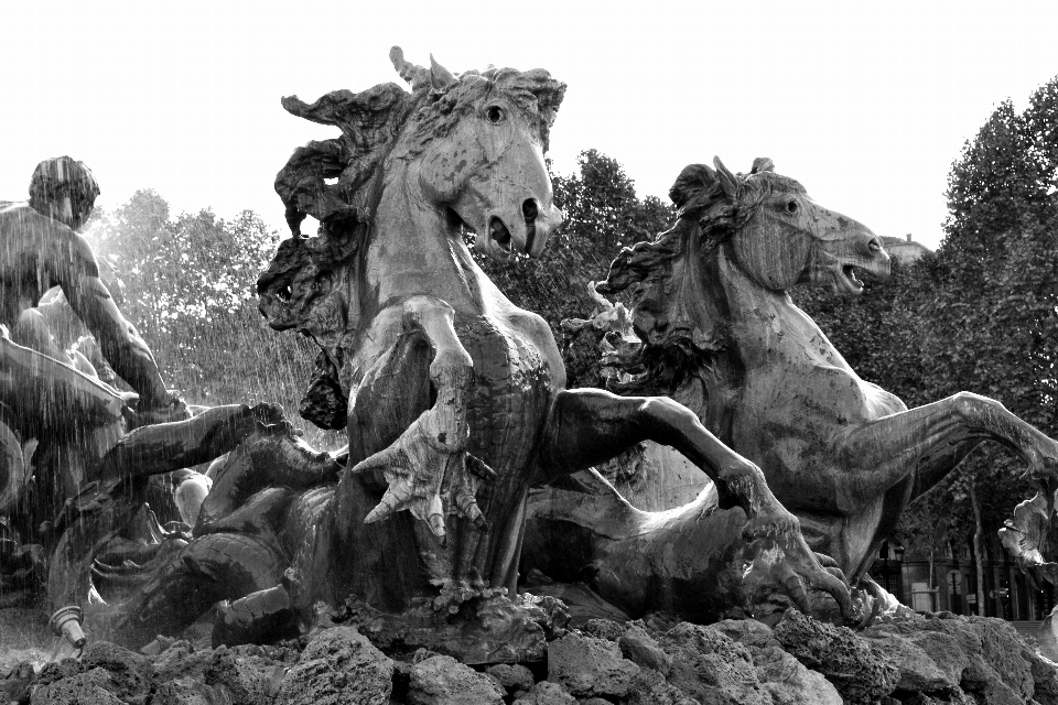 En blanco y negro
 monumento francia estatua