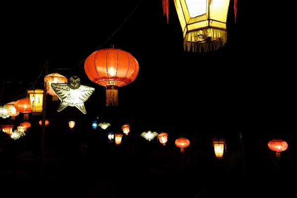 Light night flower hot air balloon Photo