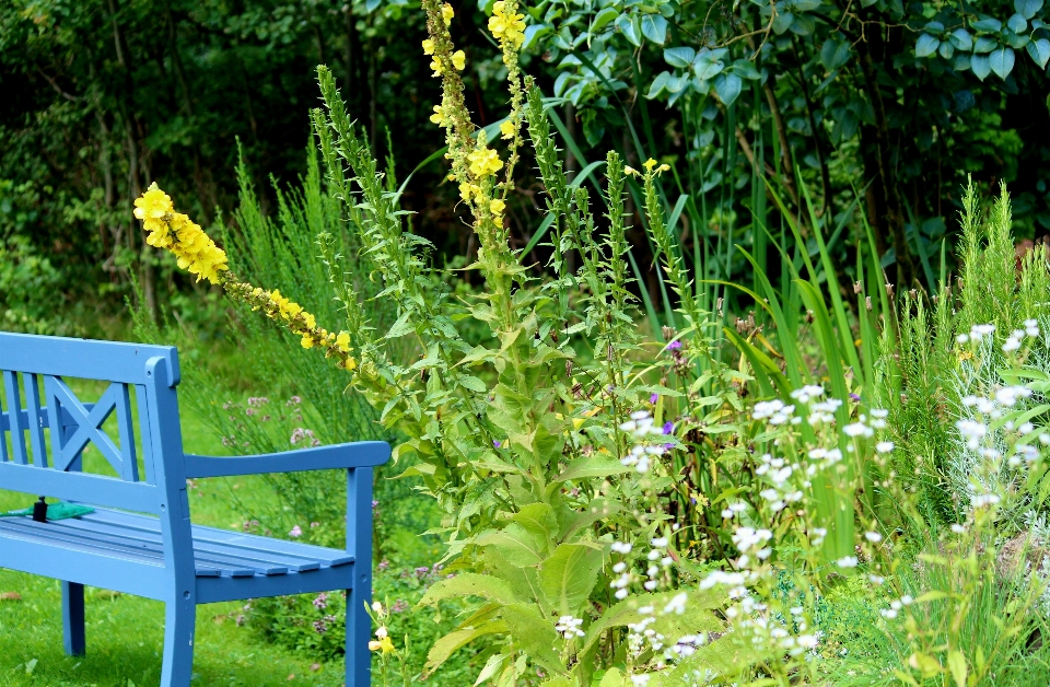 Paysage usine prairie
 fleur