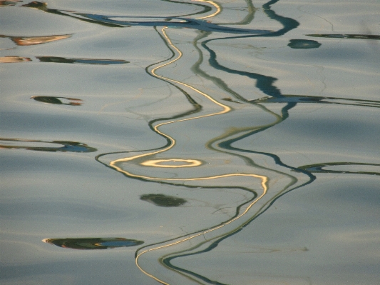 Water branch light wave Photo