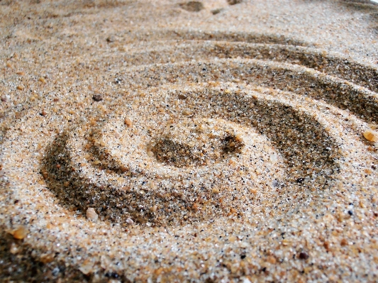 Beach sea coast nature Photo