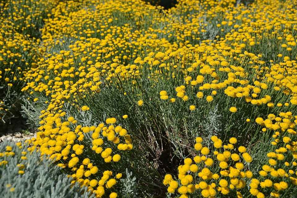 Natura zakład pole łąka
