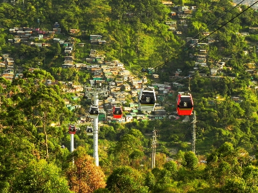 風景 木 山 車 写真