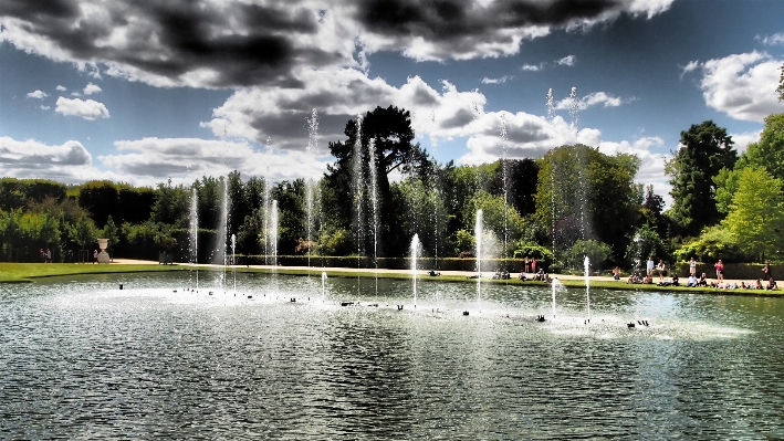 Tree water lake paris Photo