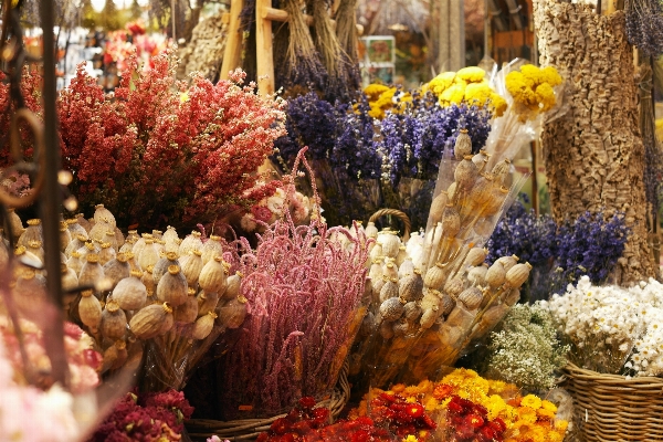 植物 花 花束 食べ物 写真