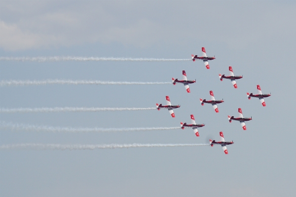 Wing sky airplane aircraft Photo