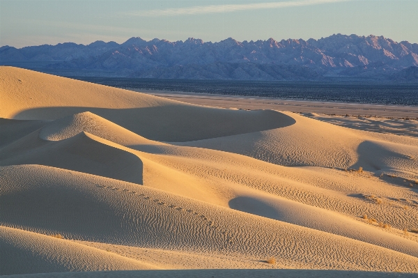 Landscape nature sand wilderness Photo