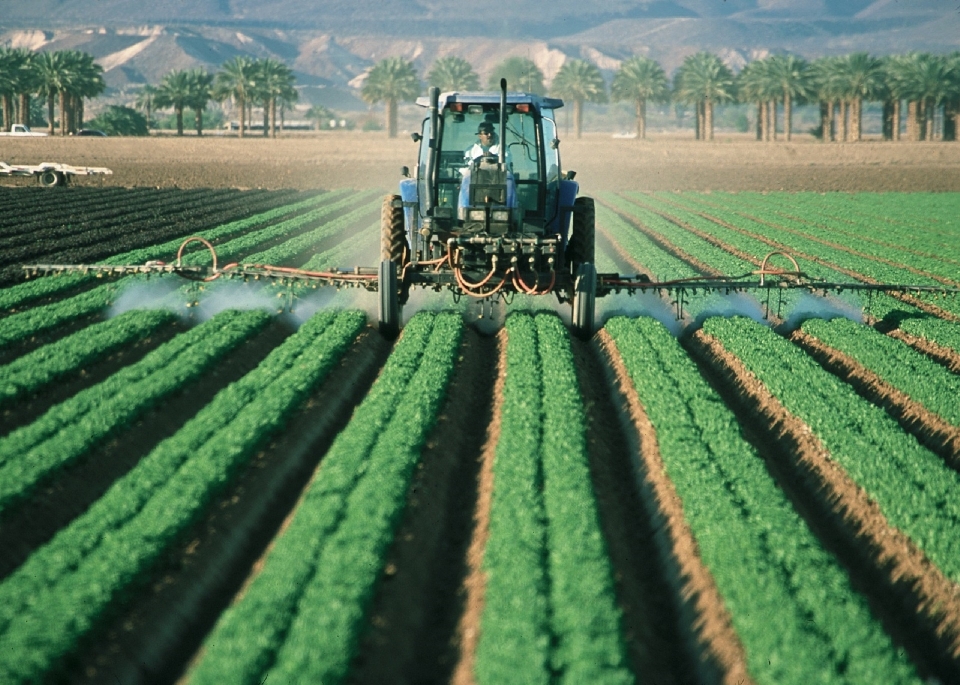 Pria bekerja rumput traktor