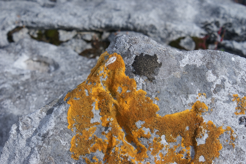 Nature rock neige hiver