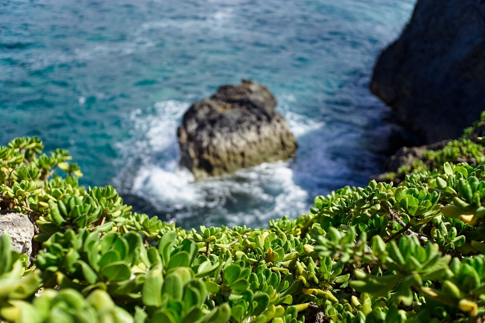 Mar costa agua naturaleza