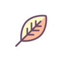 Leaf Icon