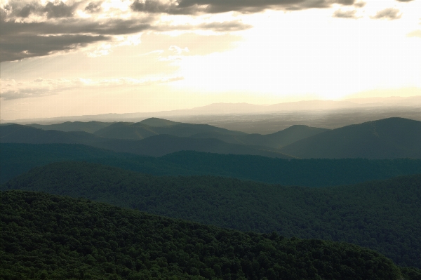 Landscape nature forest outdoor Photo