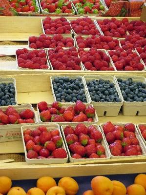 Anlage frucht essen produzieren Foto