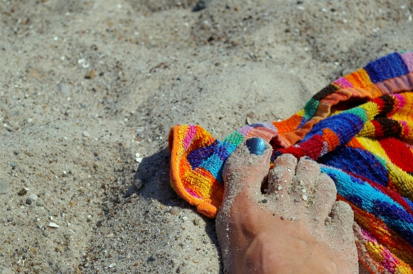 Hand beach sea sand Photo