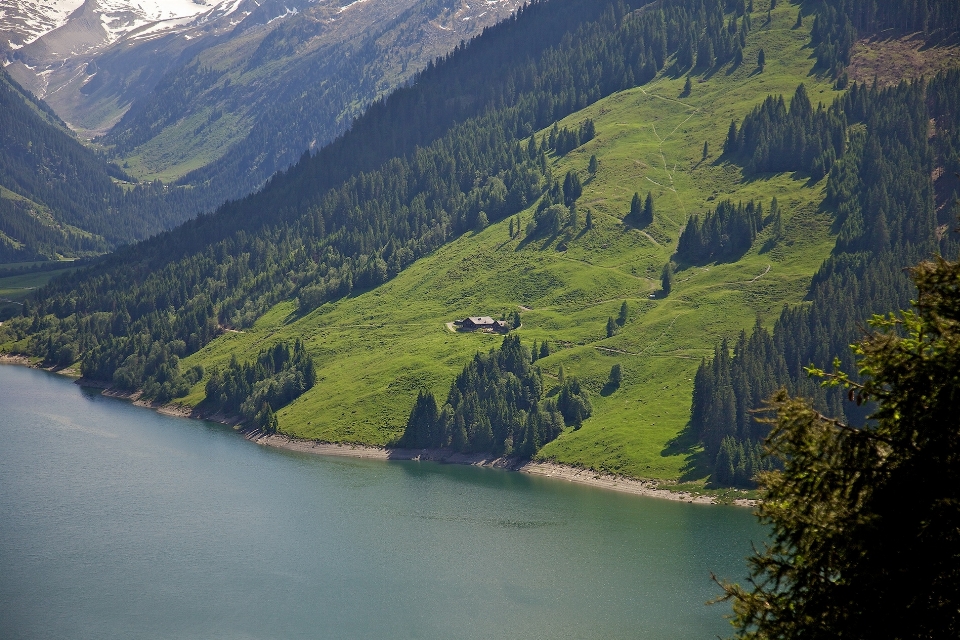 Paesaggio albero acqua natura