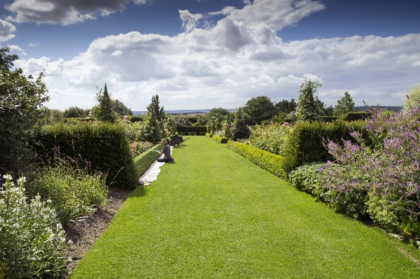 Landscape tree grass lawn Photo