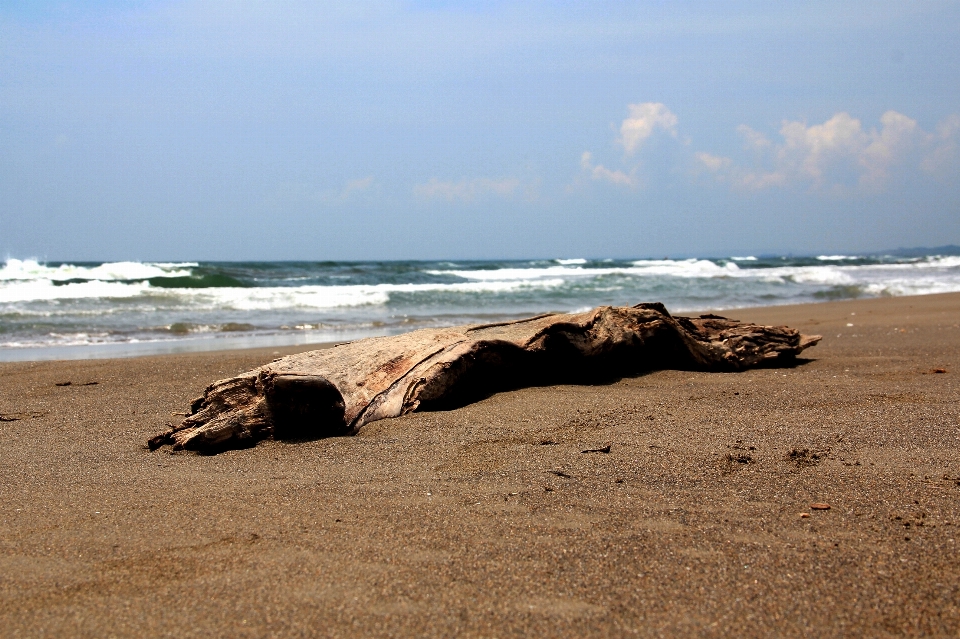 Plage paysage mer côte